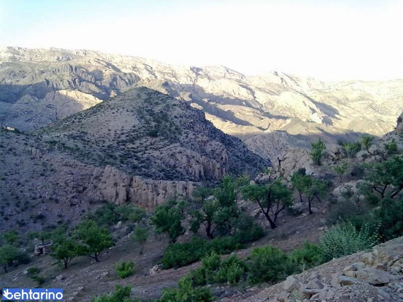 تنگ لای زنگان