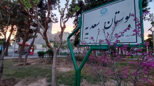 بوستان سعدی