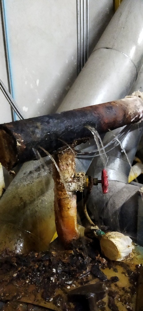 حمید گودرزی