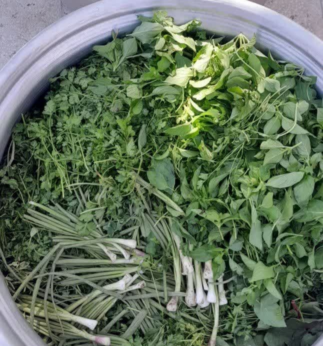 پیاز داغ خونگی