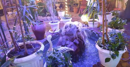 باغ و رستوران سنتی شب نشین