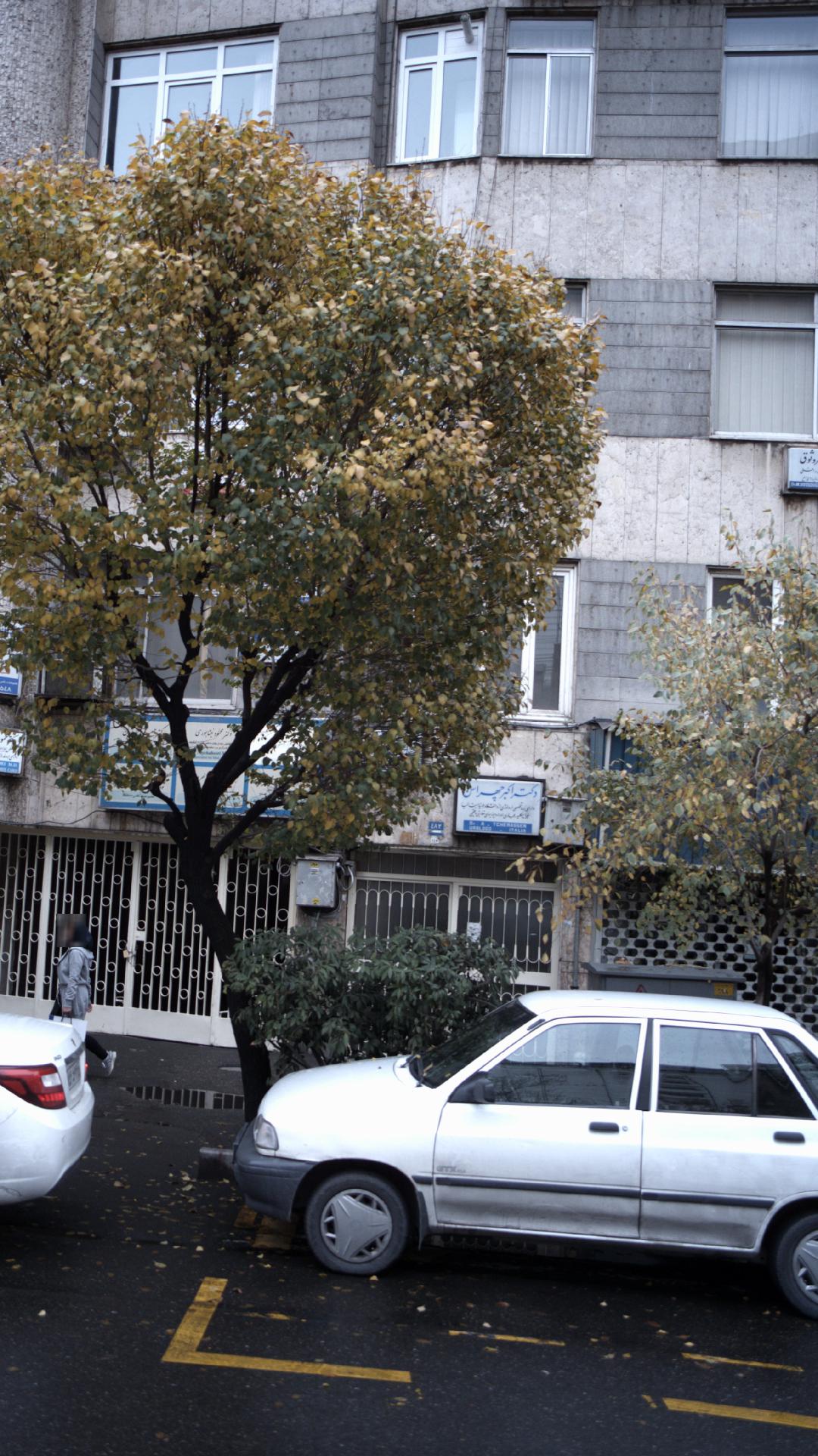 دکتر حبیب انصارین