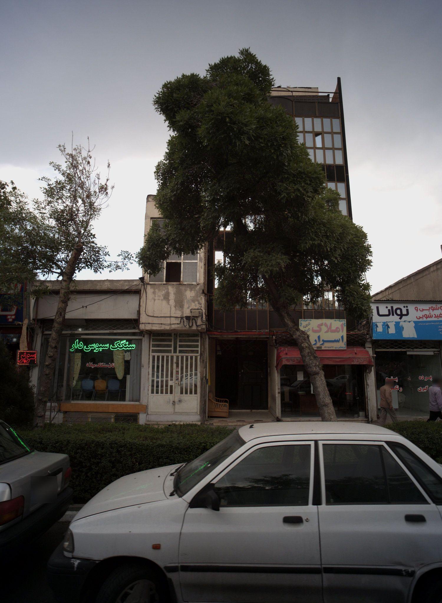 نان سنگک میلاد