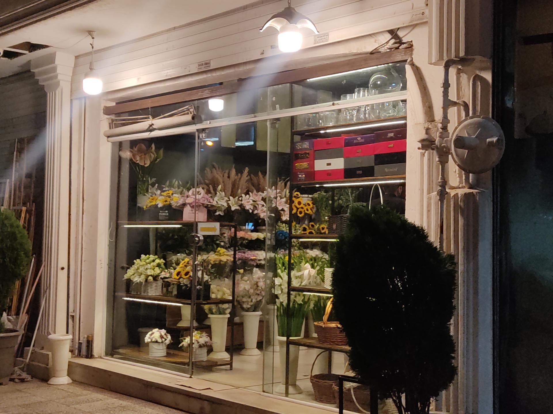 دنیای گل