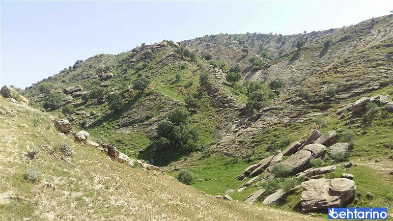 روستای چم عرب