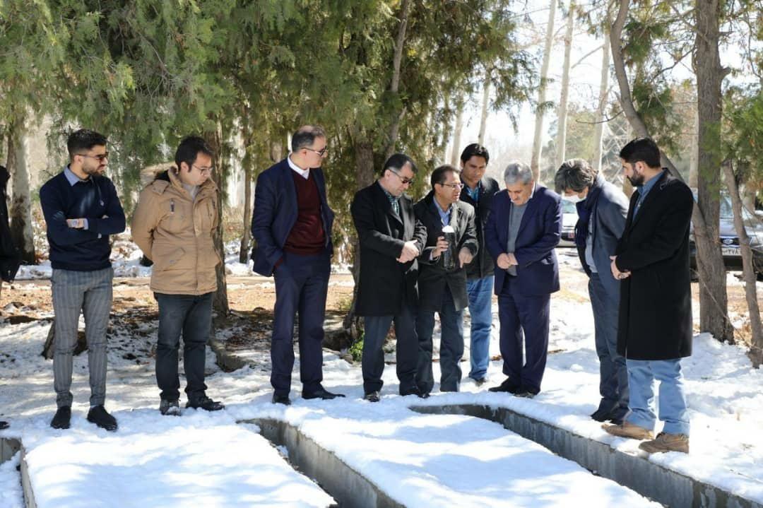 نهالستان بزرگ کرج