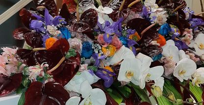 مرکز‌تخصصی ارتودنسی تبریز ( دکتر آرمان شایان )