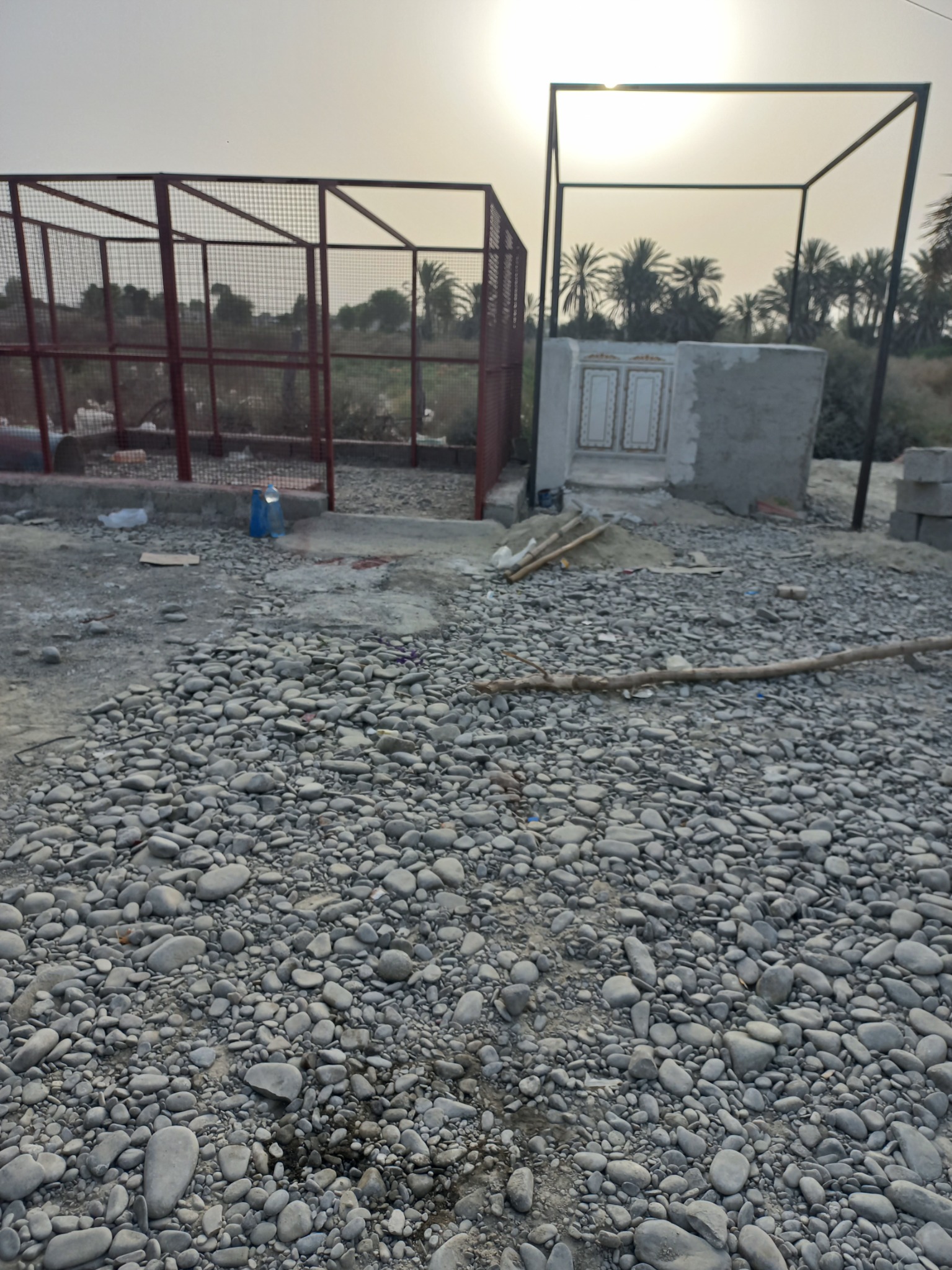 مرغ فروشی اقبال