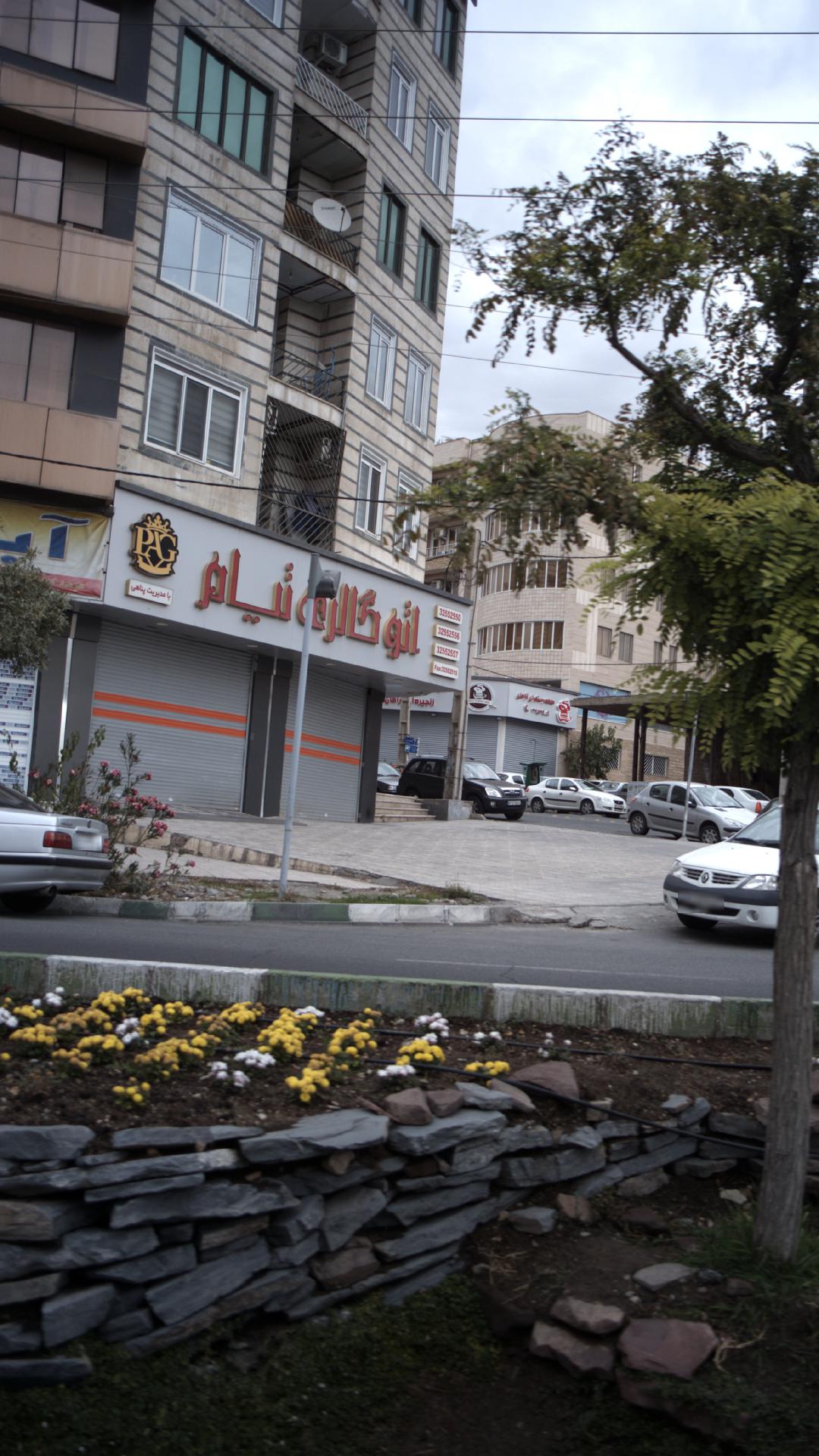 اتو گالری تیام