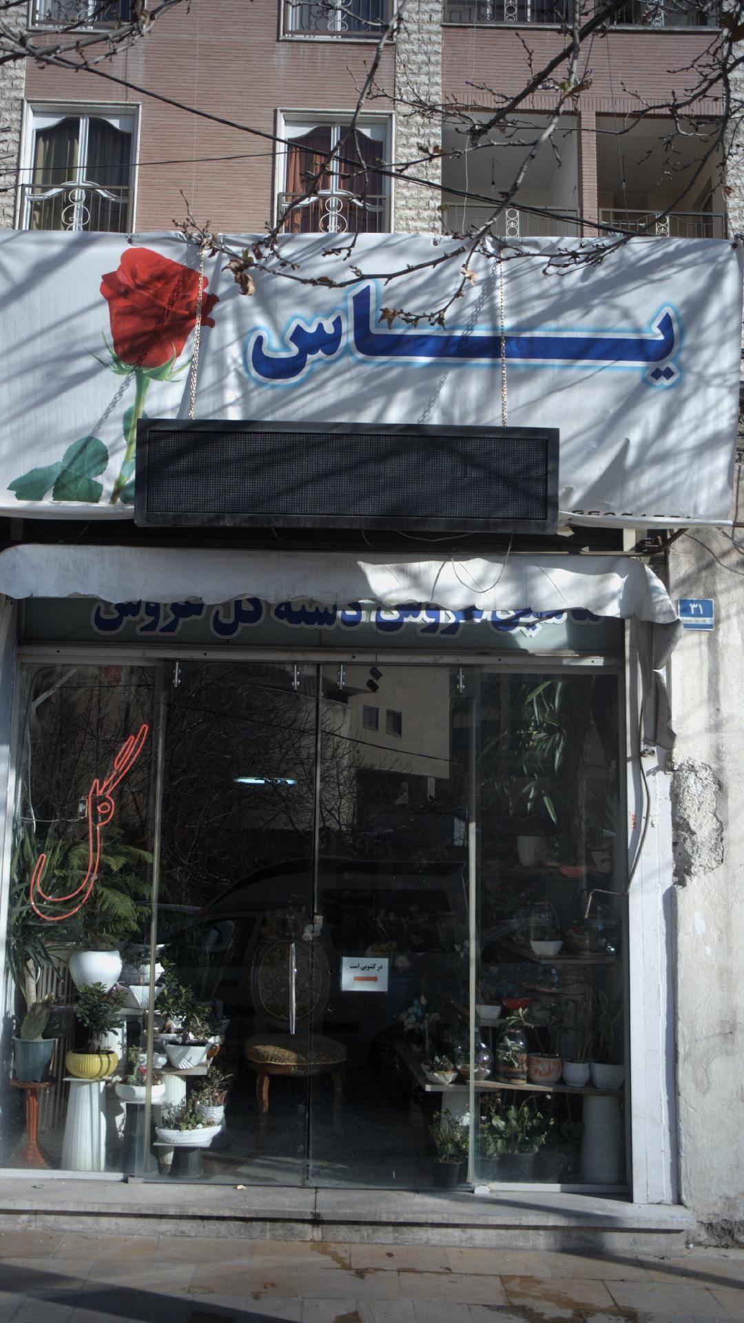 سوپر گل یاس