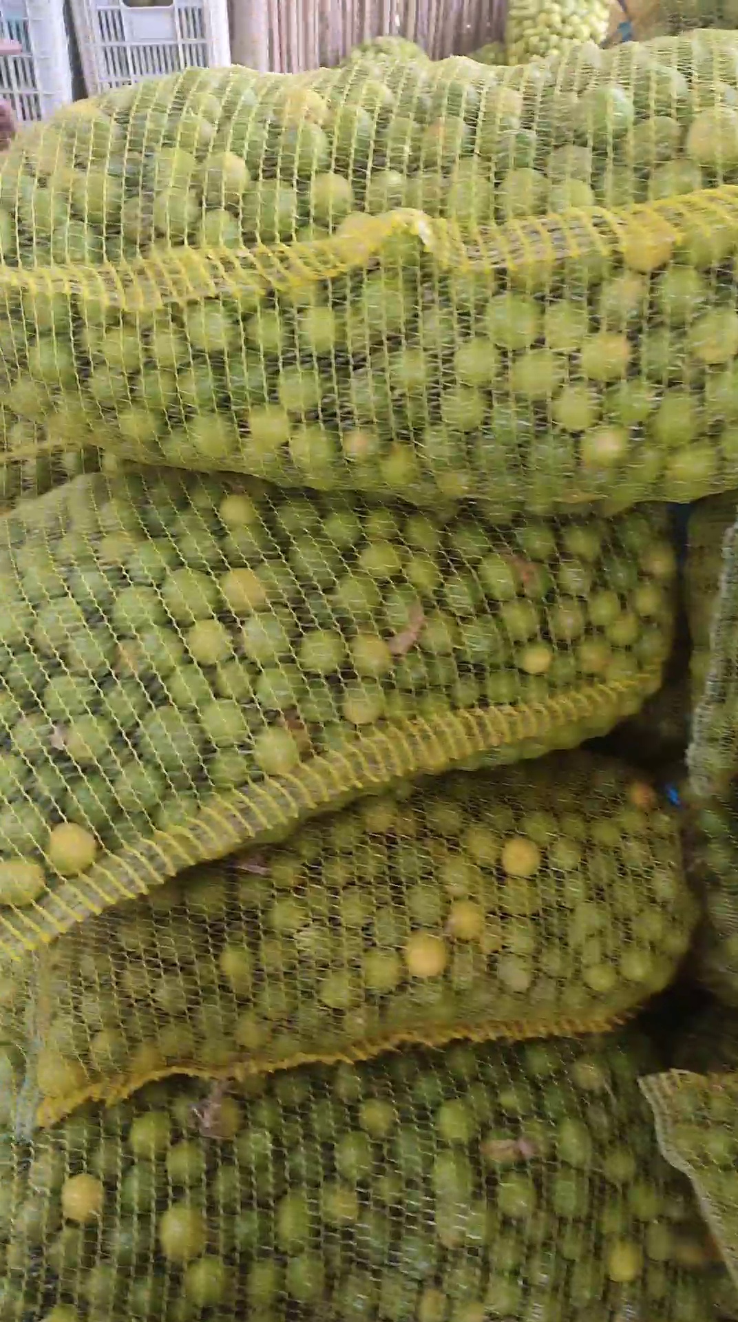 فروش لیمووتروبار