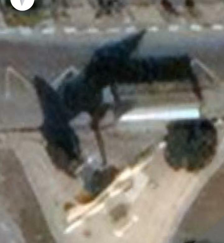 نماد پایگاه چهارم نیرو هوایی