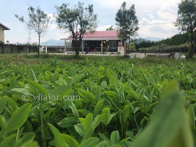 ویلای اجاره ای در تالش اسالم