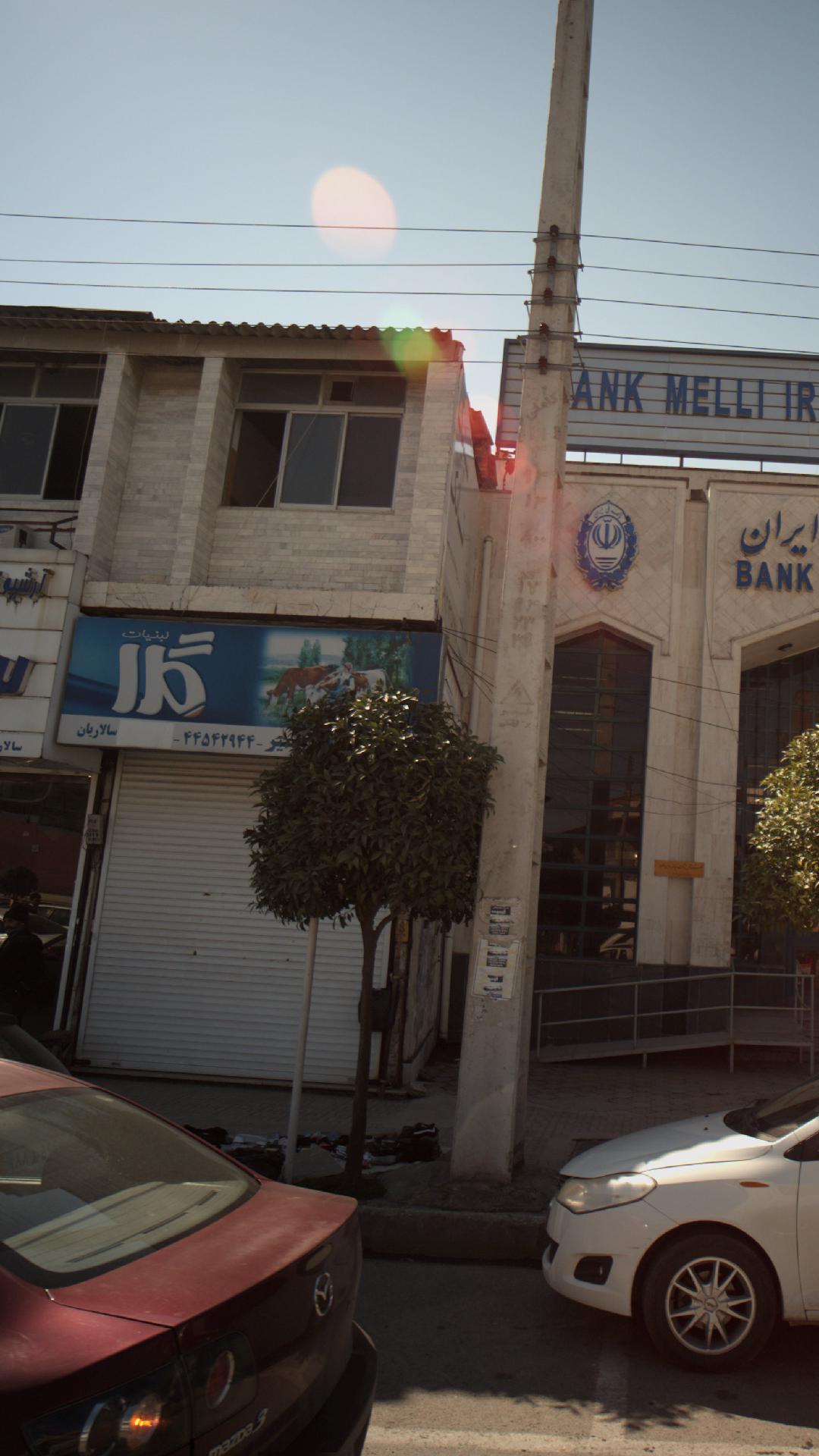 لبنیات محلی