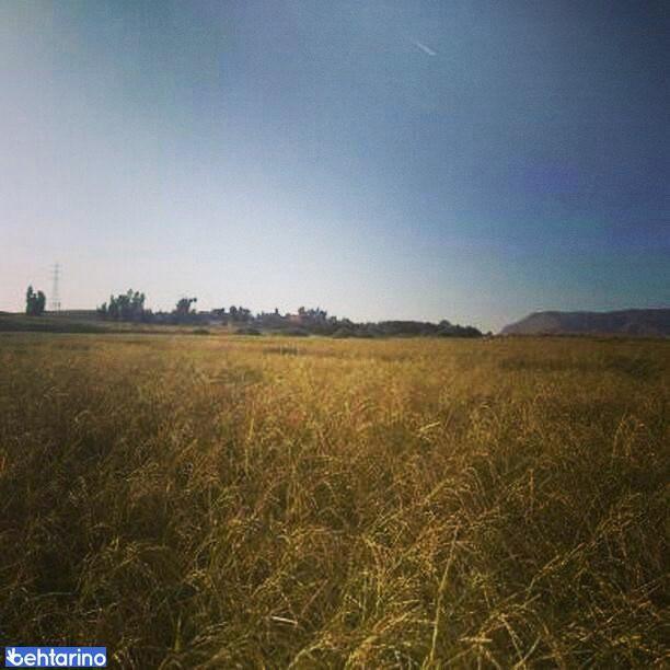 روستای نوترگی