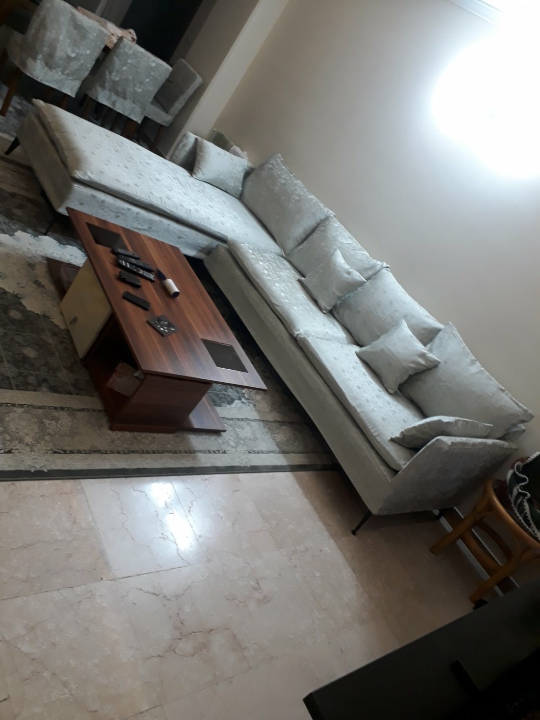مهران خلجی پیربلوطی