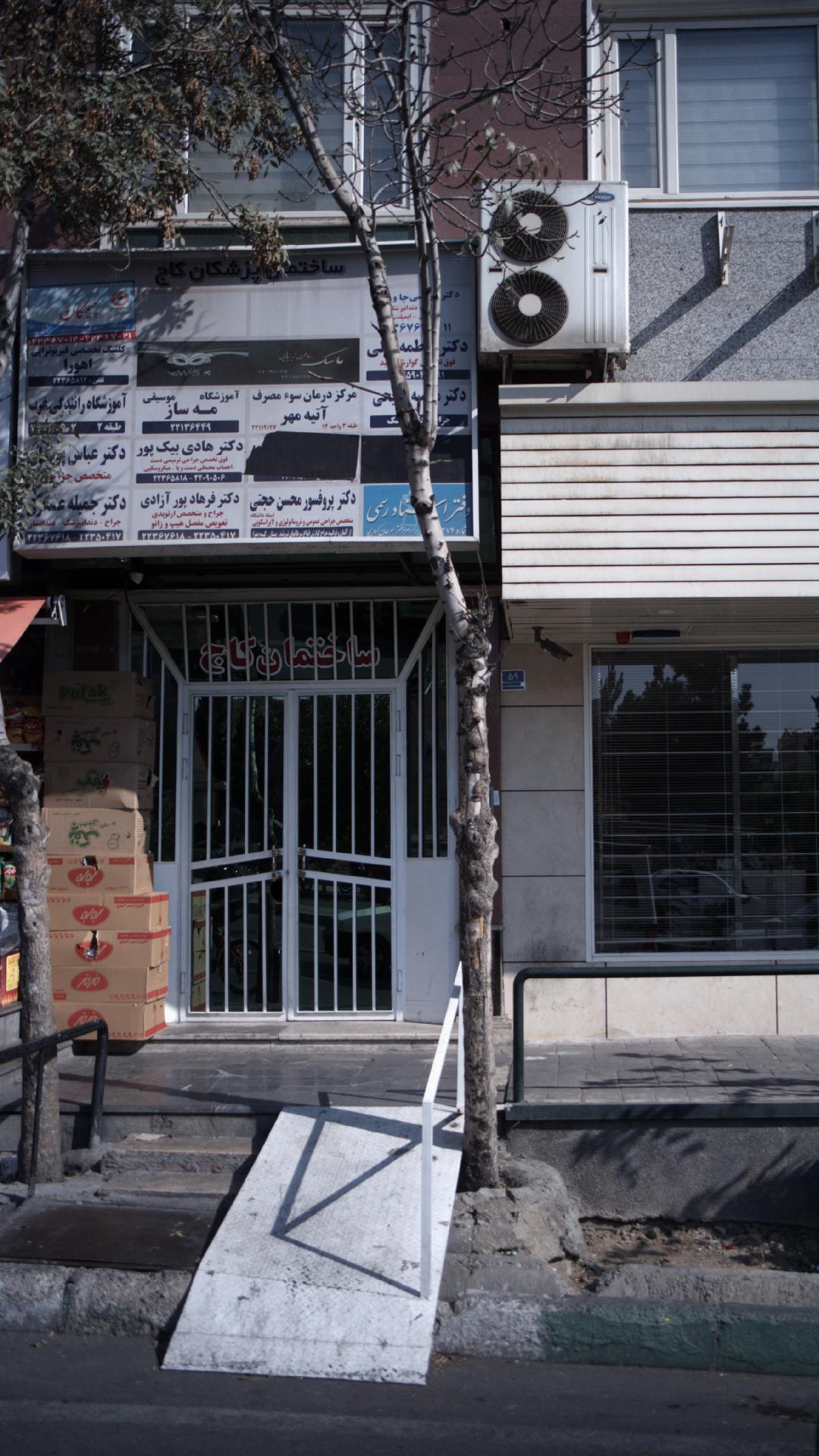 پروفسور محسن حجتی