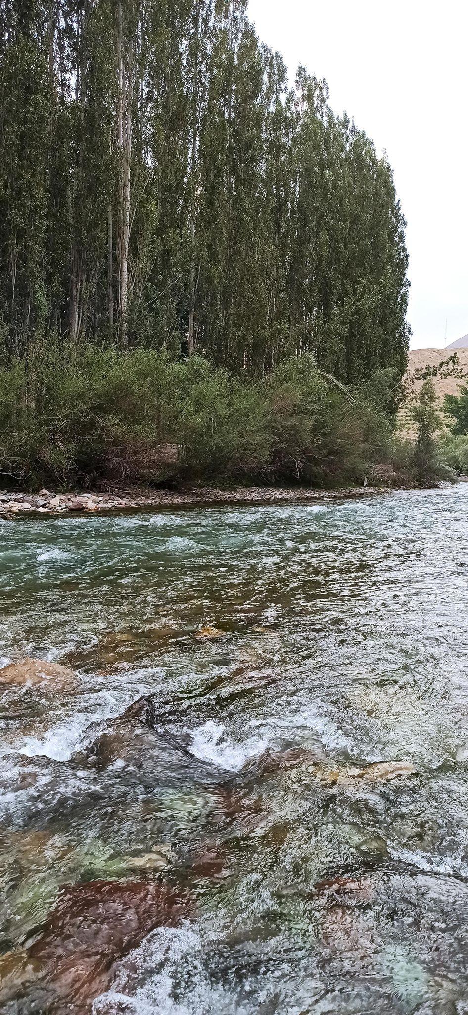 باغ خانوادگی گل محمدی