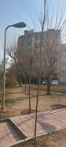 بوستان مدائن