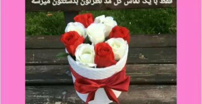 گل فروشی رزویچ