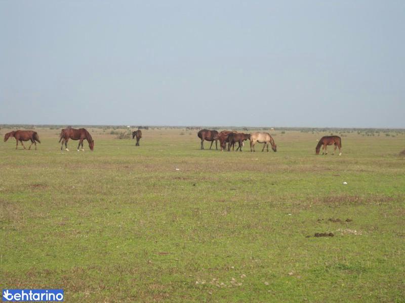 پارک ملی بوجاق