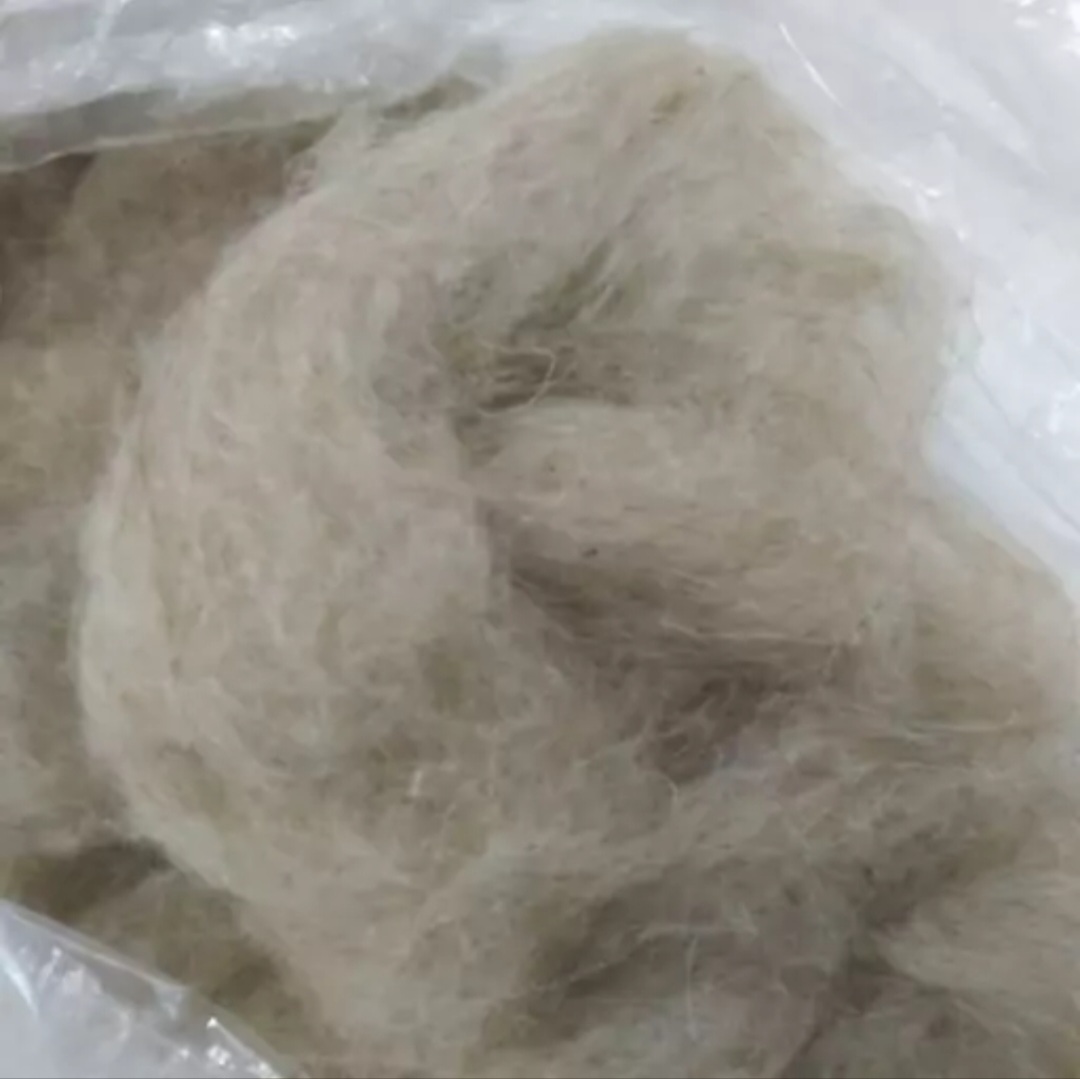 نمدسرای ژینوس