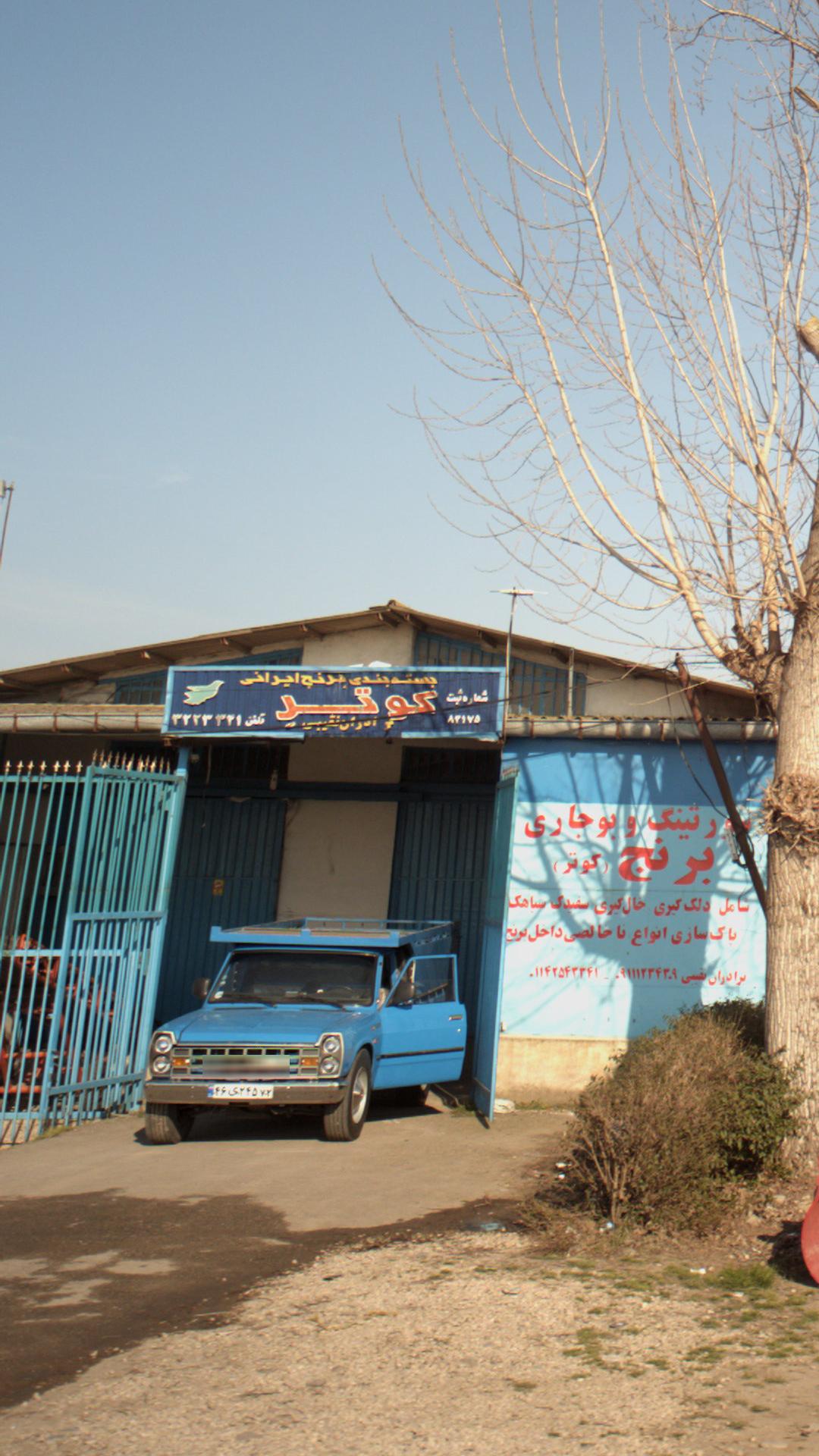 بسته بندی برنج ایرانی کوتر