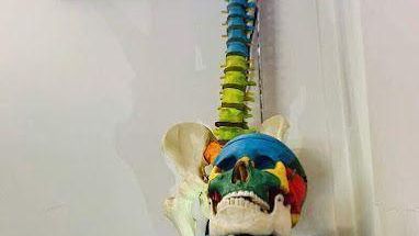 دکتر شهاب تاج دینی