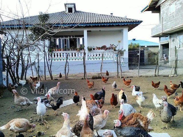 اجاره خانه روستایی در گیسوم