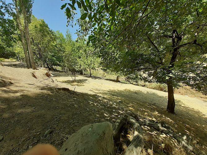 اقامتگاه دهبکری