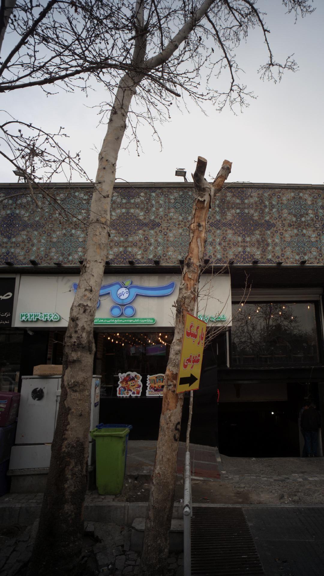 پیتزا سیب ۳۶۰