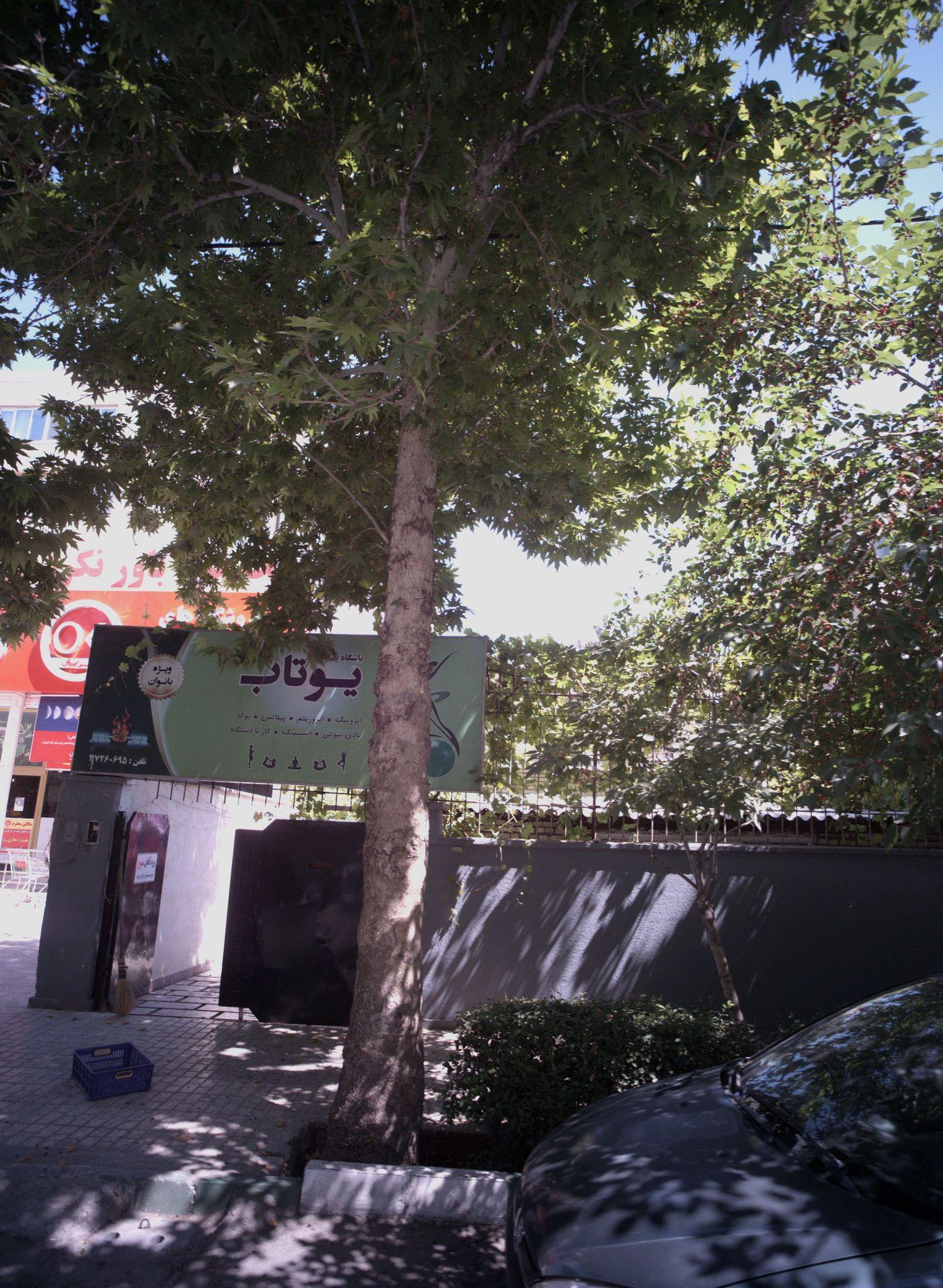 باشگاه بدنسازی یوتاب