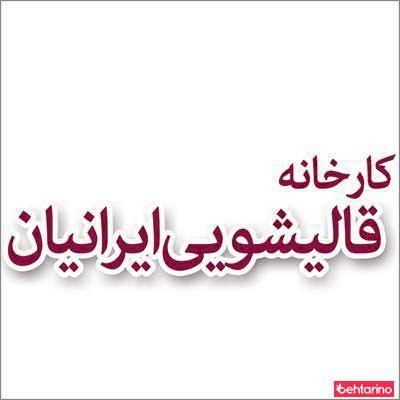 کارخانه قالیشویی ایرانیان