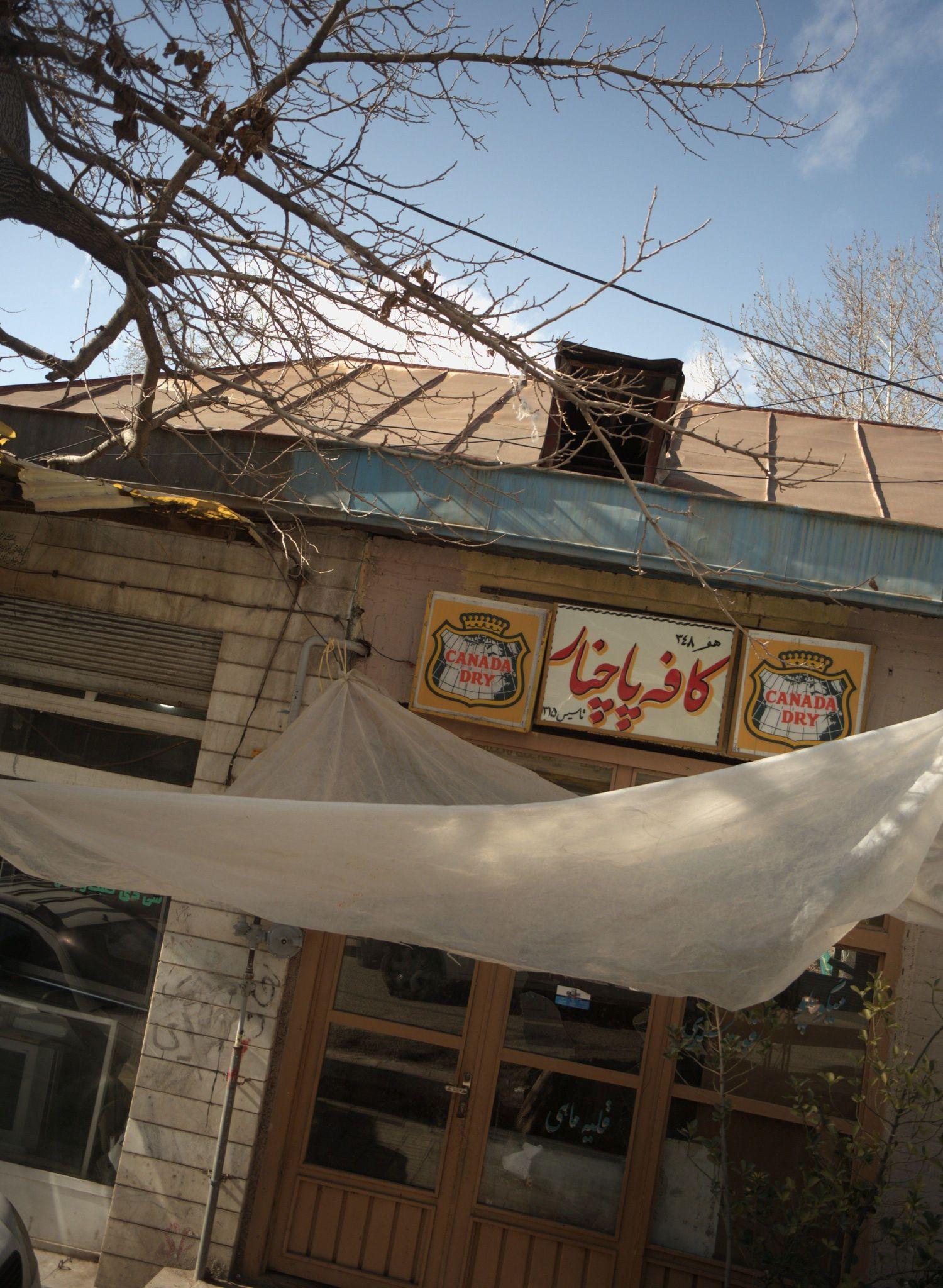 کافه پاچنار