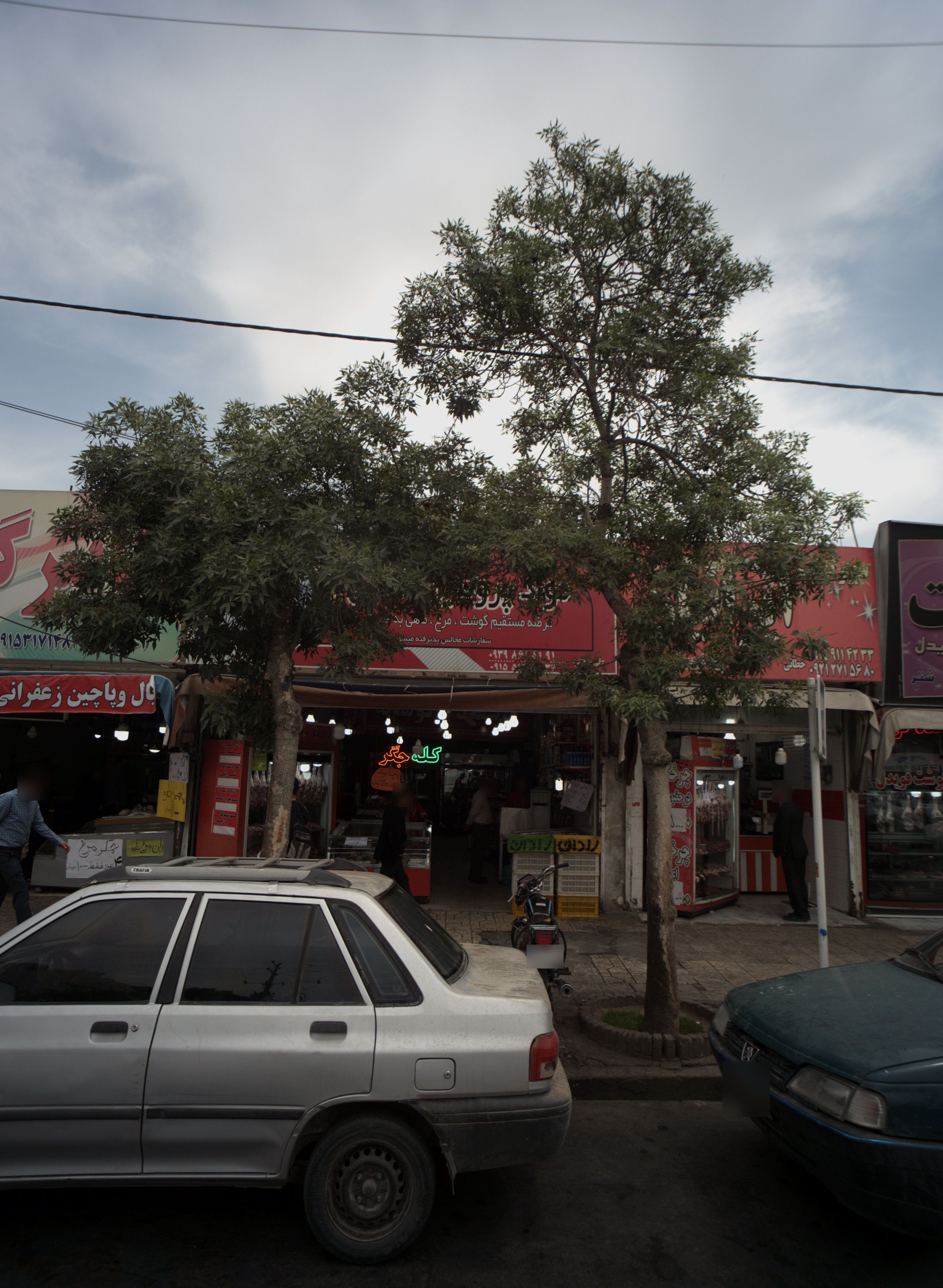 مواد پروتئینی