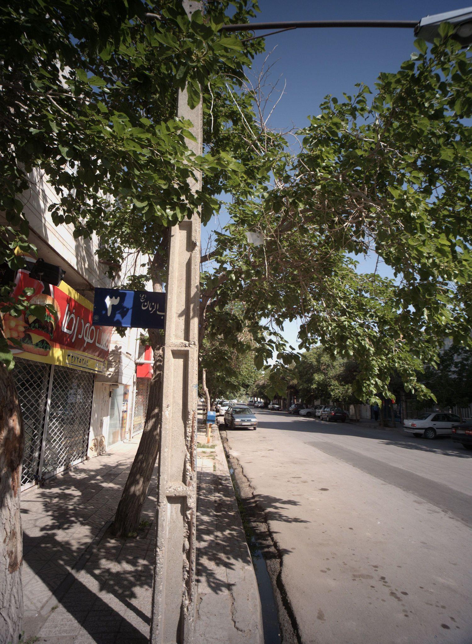 فست فود رضا