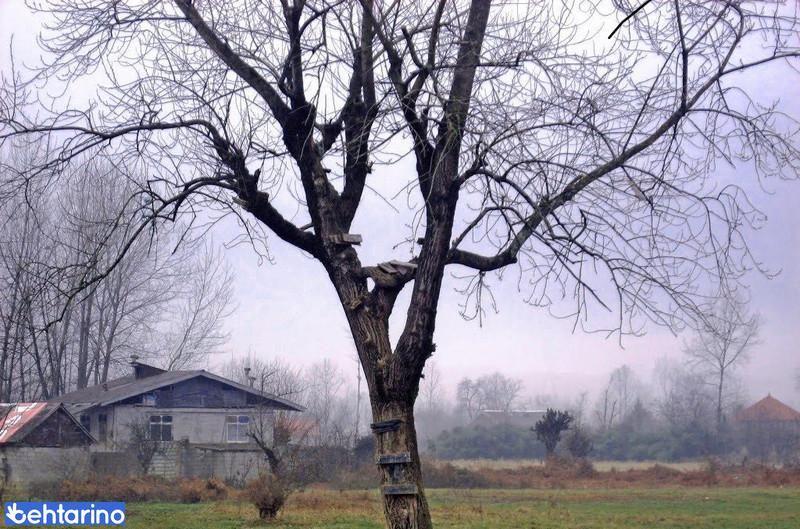 طبیعت روستای پیربازار