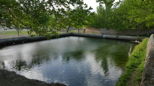 باباحمید