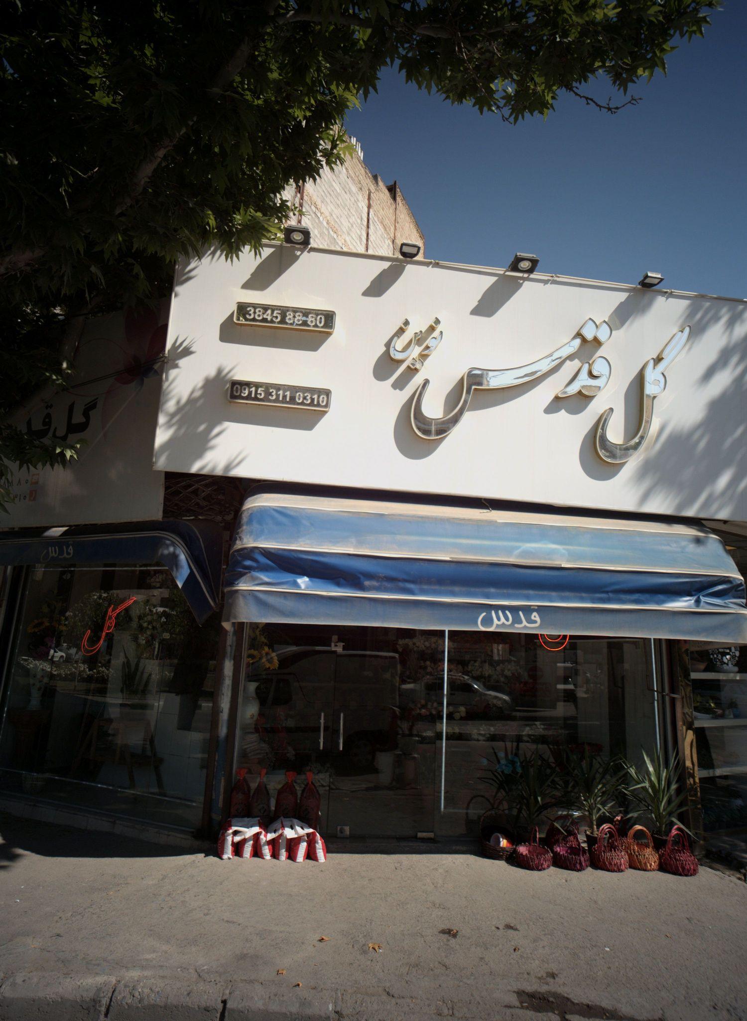 گل قدس نوین