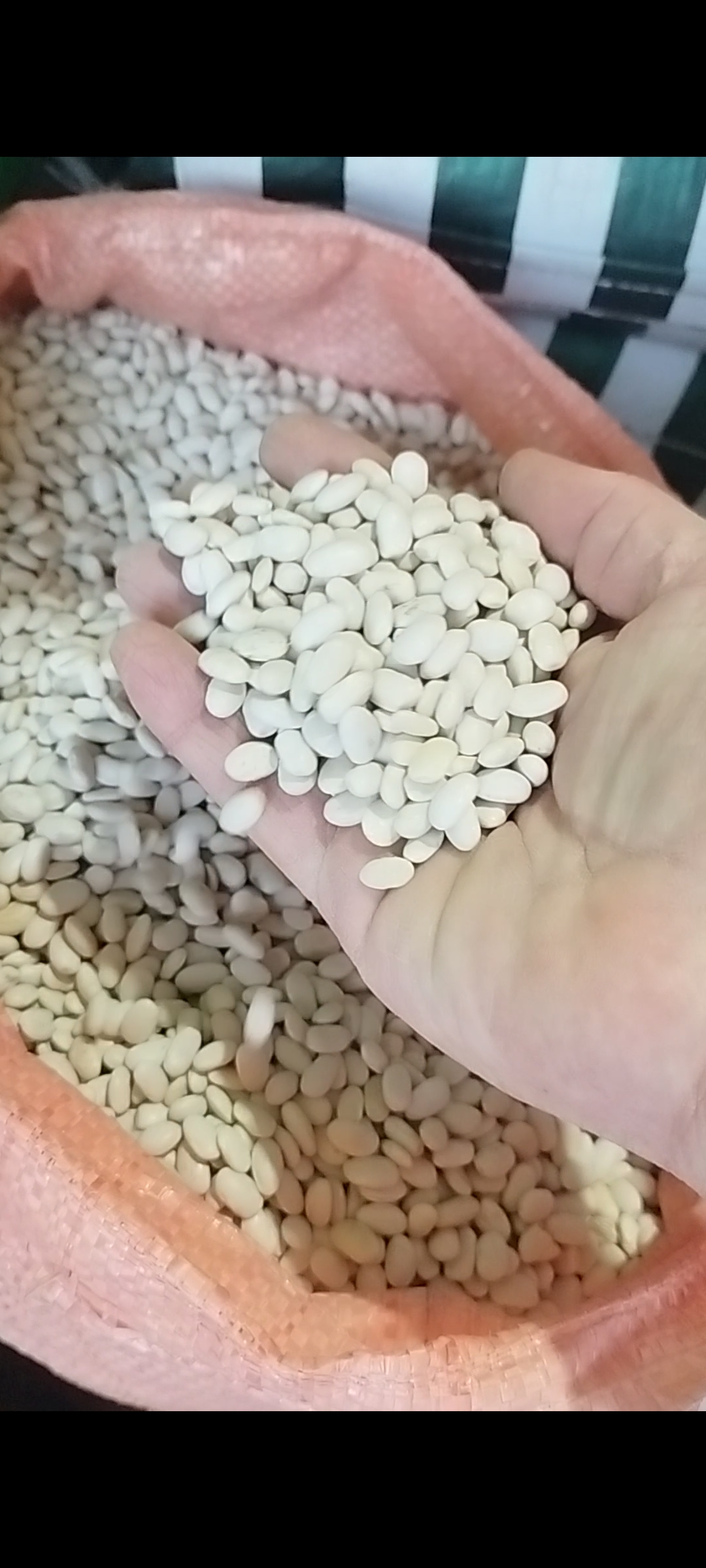 فروش حبوبات اعلا