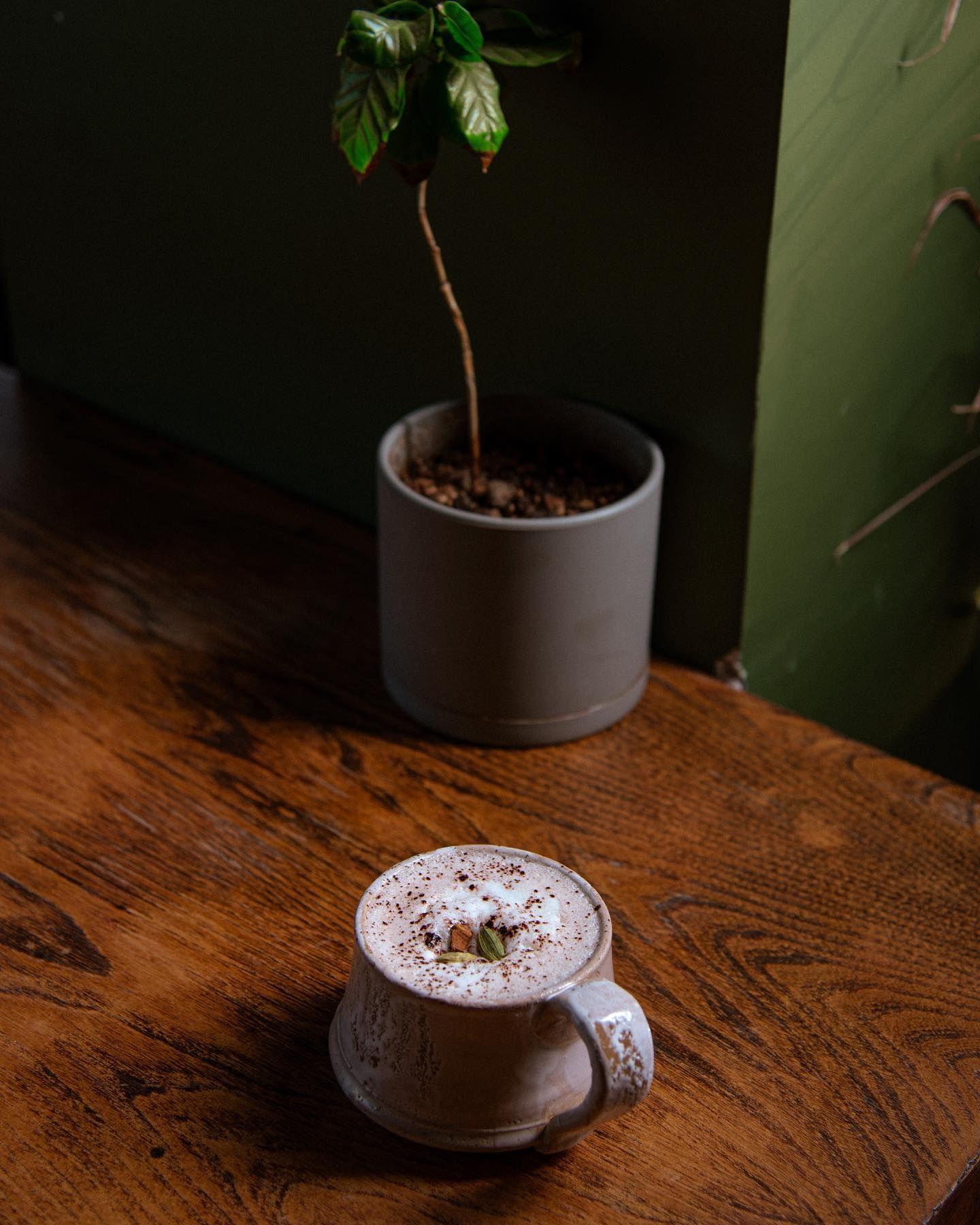 کافی شاپ و کافه سل