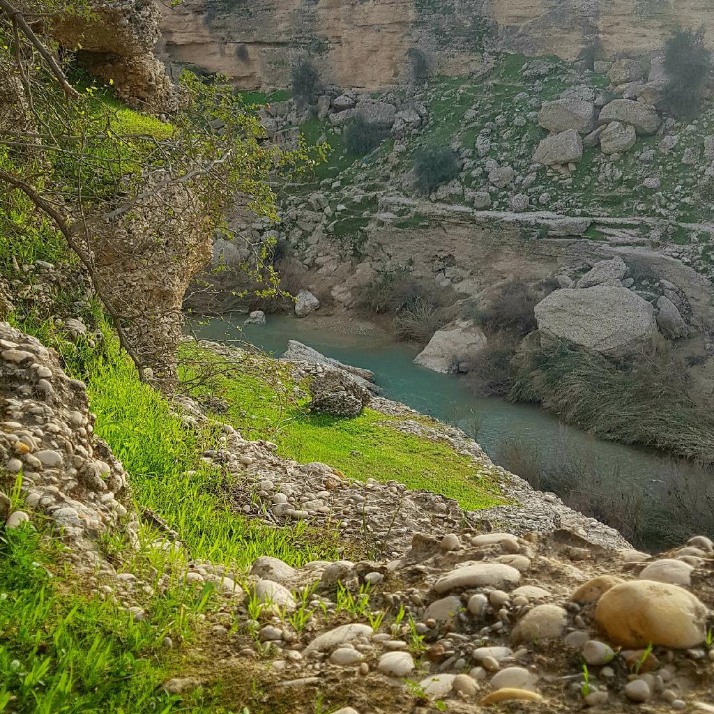 سیمان فروشی مینایی