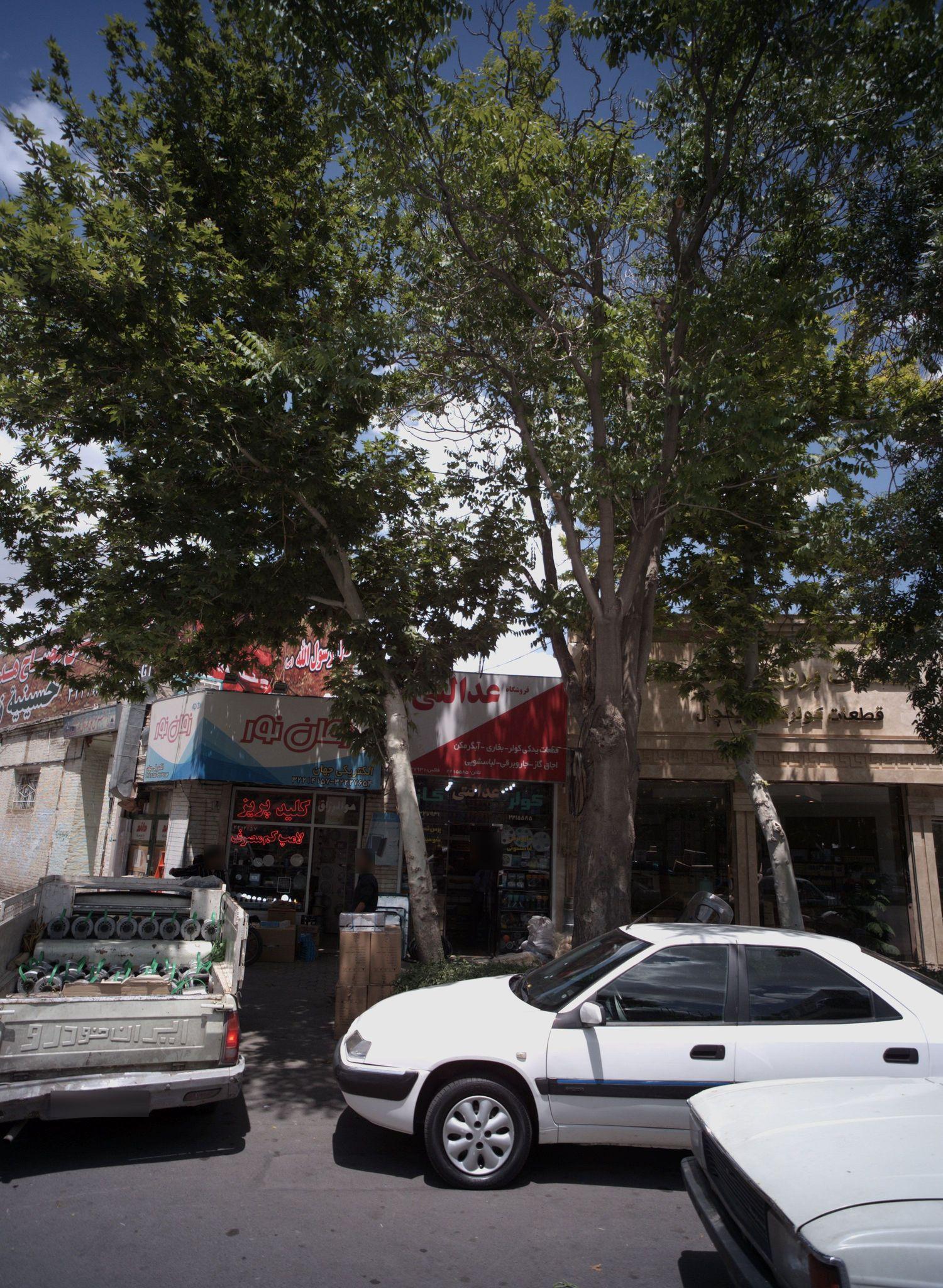 فروشگاه عدالتی