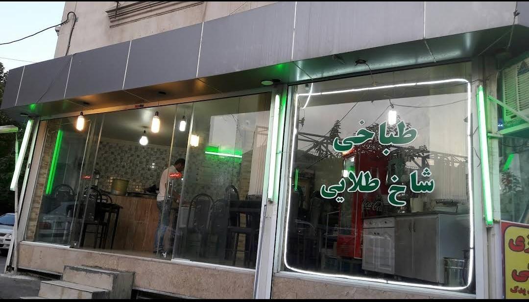 طباخی شاخ طلایی