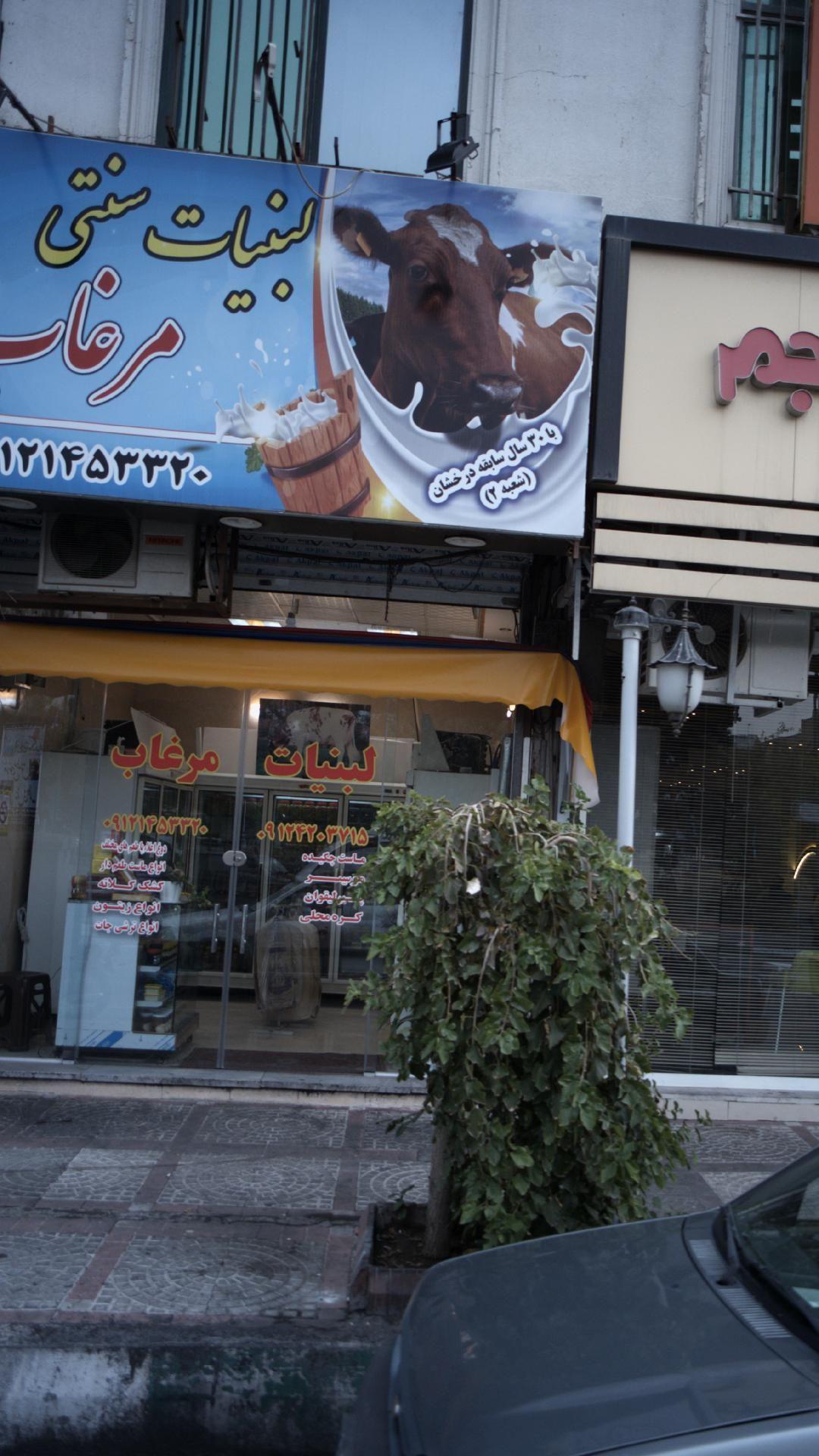 لبنیات سنتی مرغاب