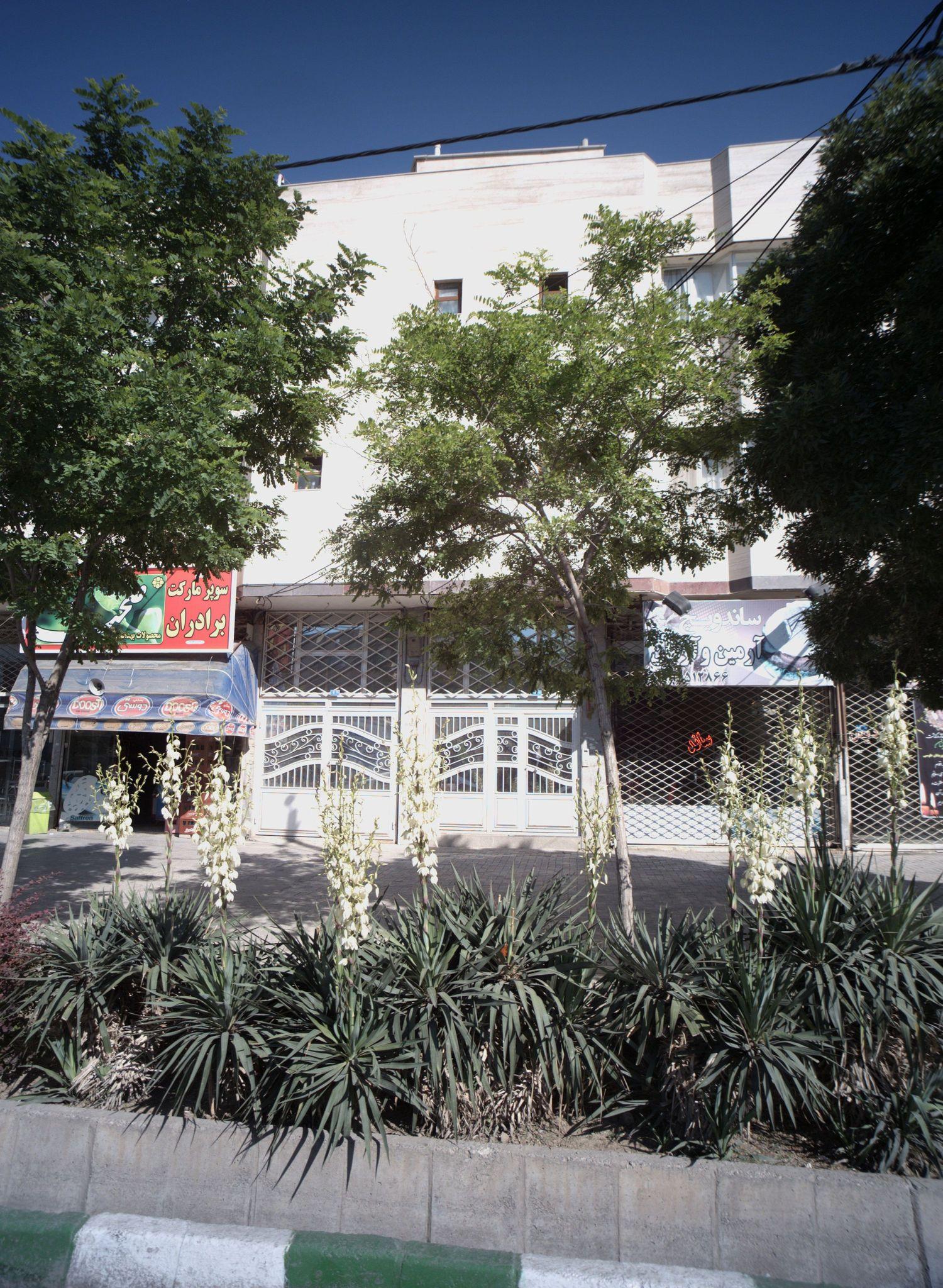 ساندویچ آرمین و آرمان