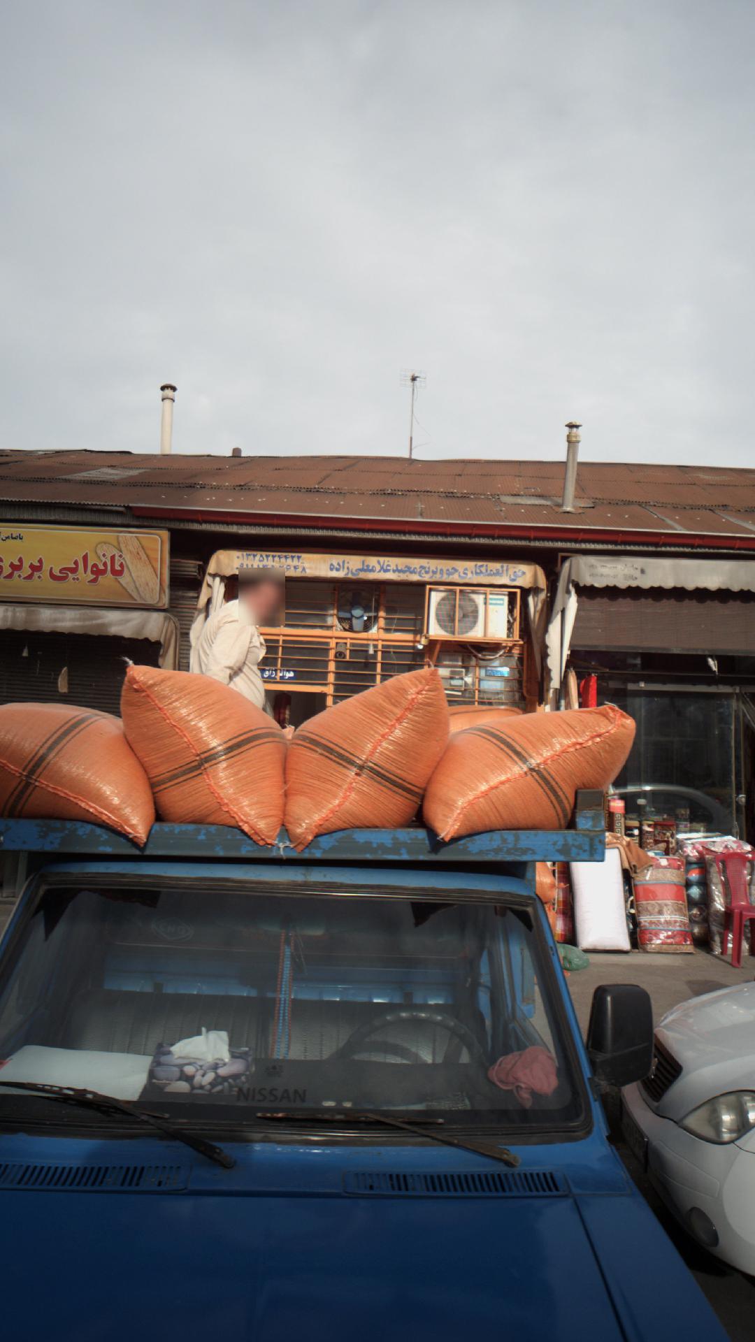 حق العملکاری جو و برنج محمود مقتدر