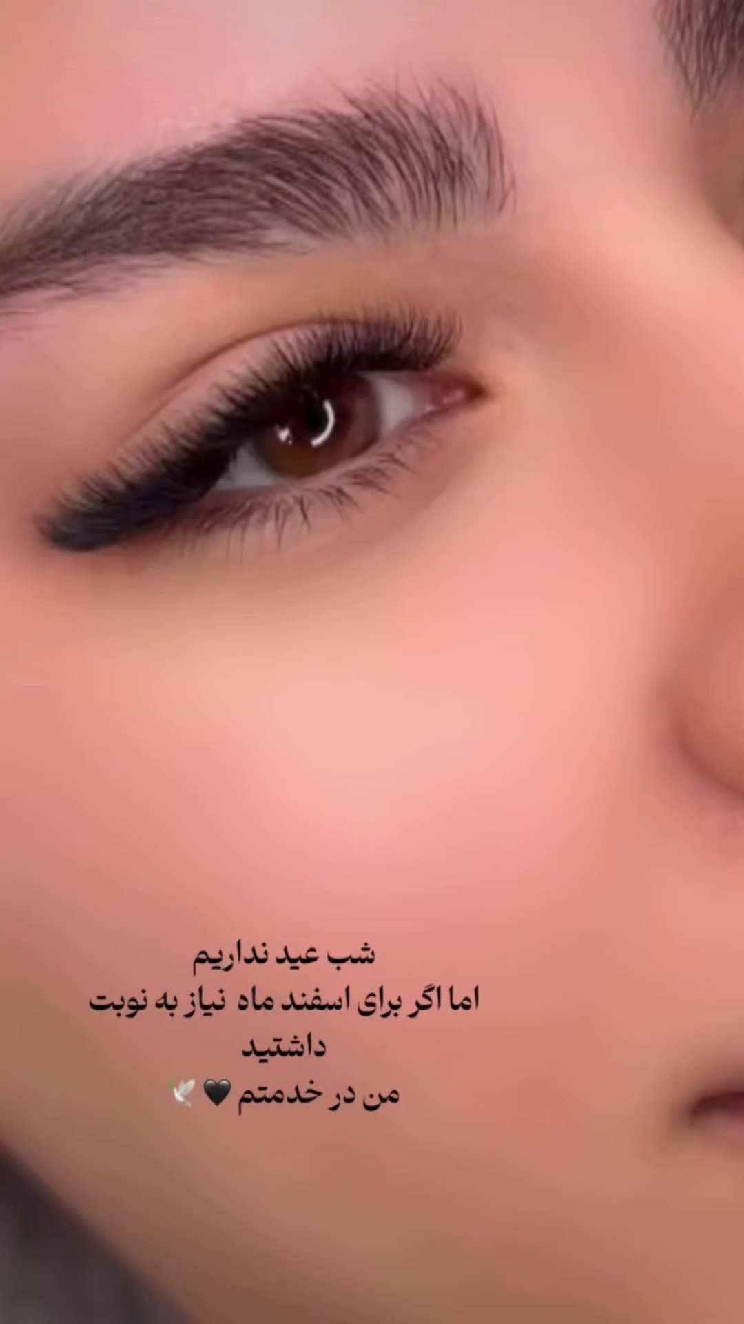 سالن زیبایی و مژه کده موژان