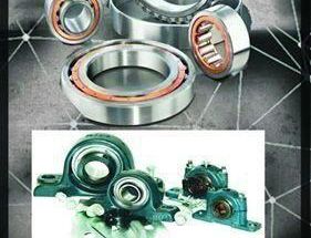 شرکت وندا تجارت کارینا