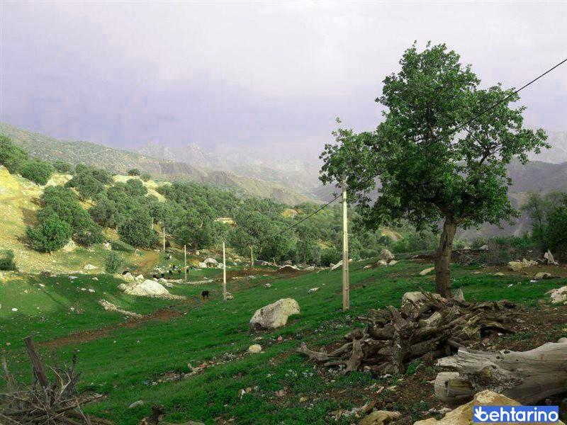 منطقه شکار ممنوع هشتاد پهلو